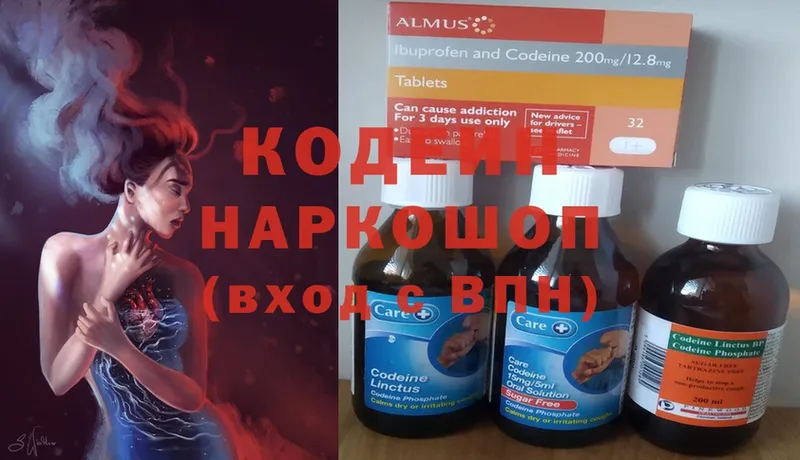 купить наркотики цена  кракен маркетплейс  Кодеиновый сироп Lean Purple Drank  Камышин 